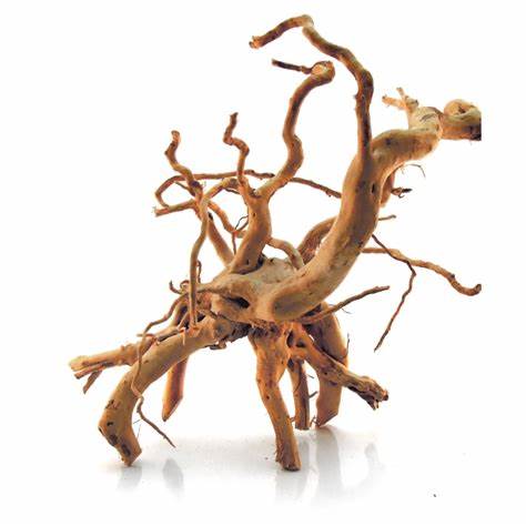 Spider Drift Wood 5 - 8 inches